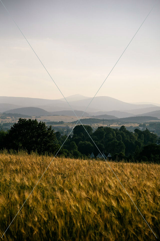 Agriculture countryside crop